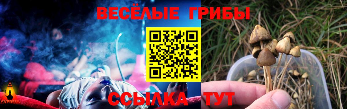 Саров  Псилоцибиновые грибы мицелий  Вход с VPN 